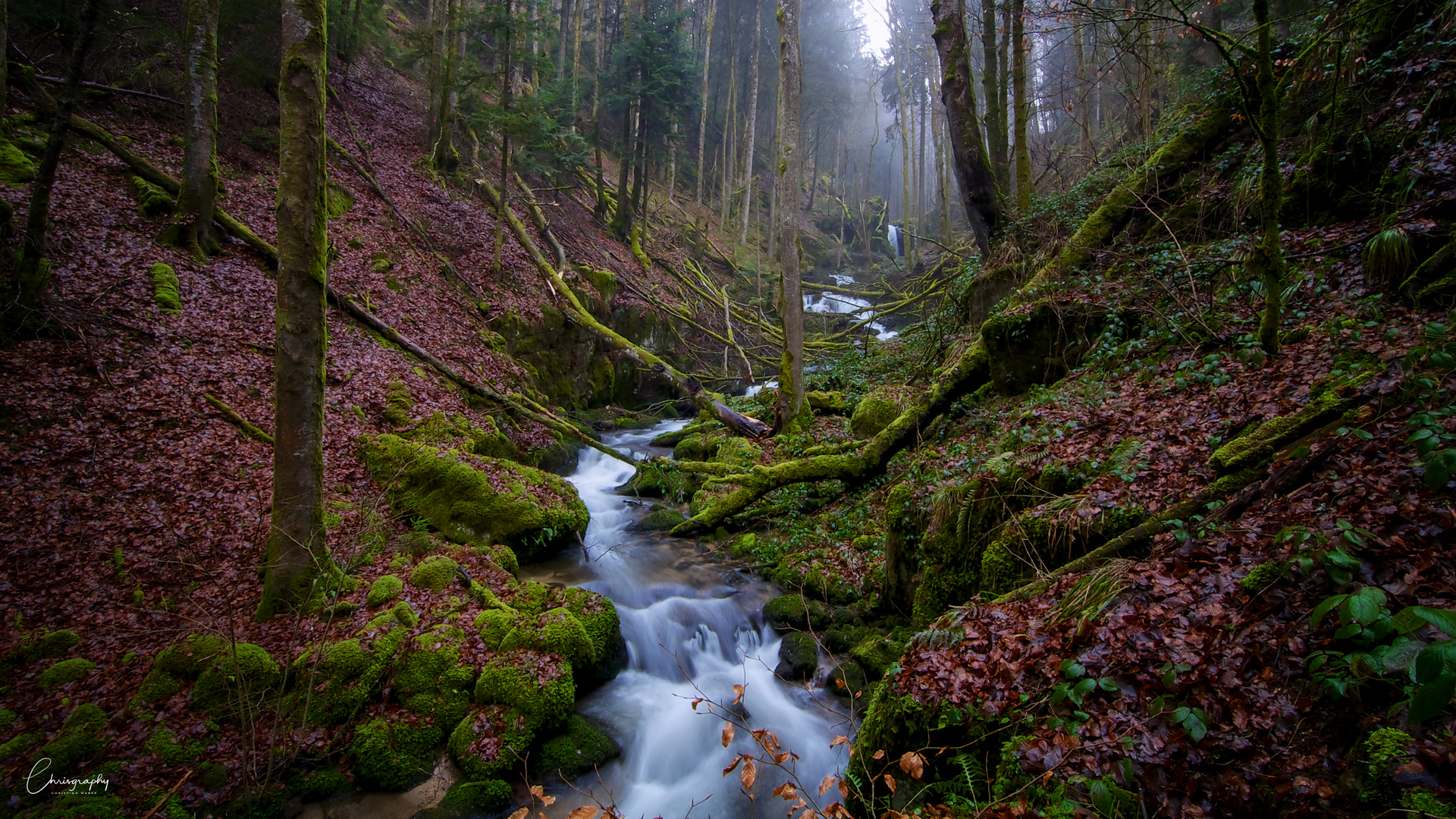 Höllbachtal