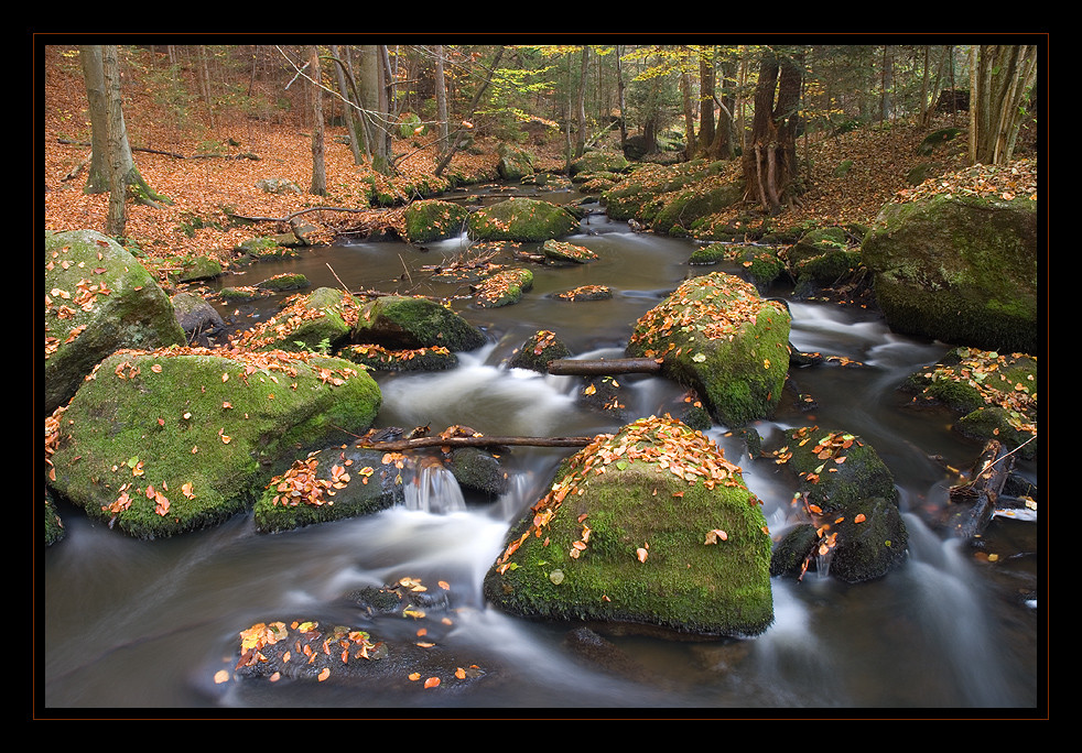 Höllbachtal - Bayrischer Wald