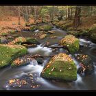 Höllbachtal - Bayrischer Wald