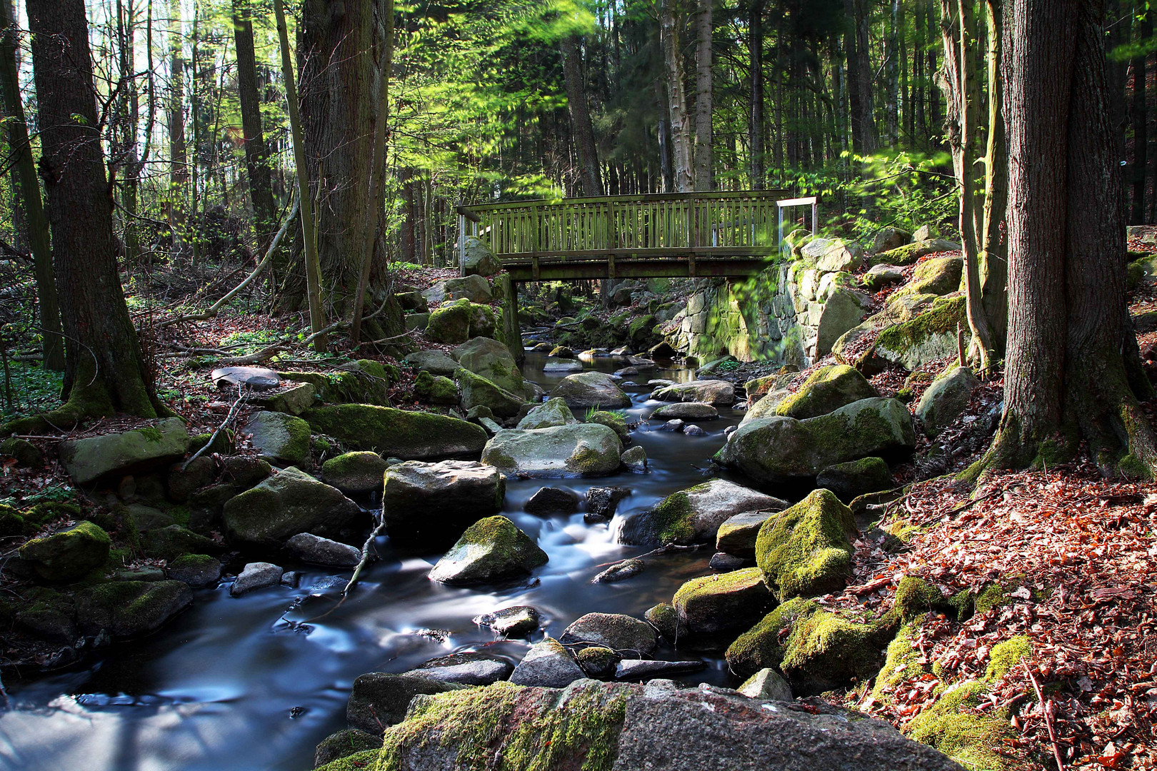 Höllengrund in Großschweidnitz am späten Nachmittag