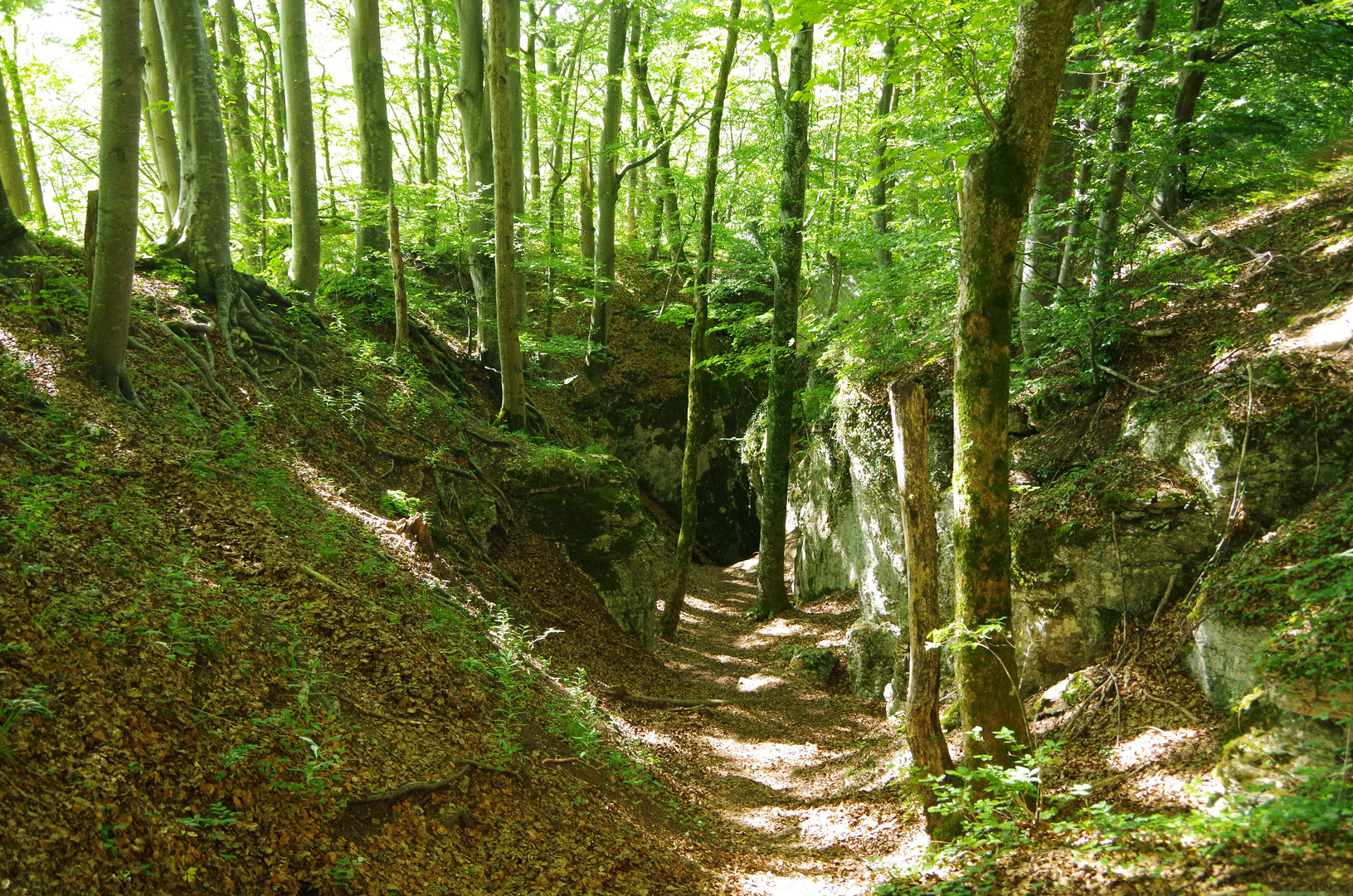 Höllenlöcher bei Urach