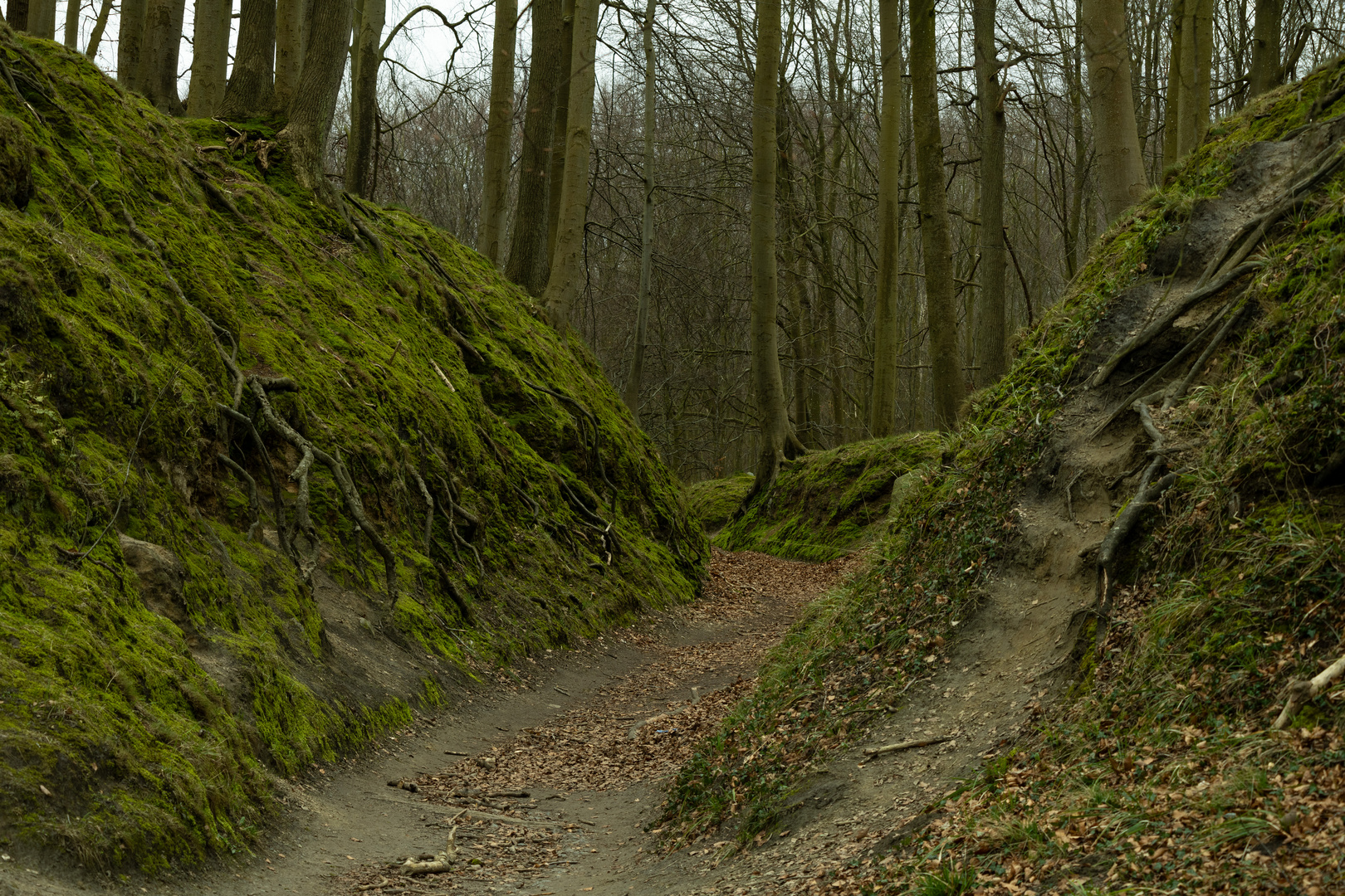 Höllenschlucht bei Binz