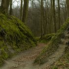 Höllenschlucht bei Binz