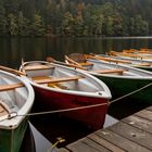 Höllensteinsee Impressionen (43)