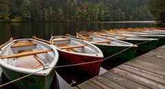 Höllensteinsee Impressionen (43)