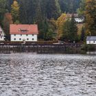 Höllensteinsee Impressionen (44)