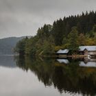 Höllensteinsee Impressionen (46)