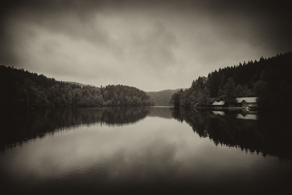 Höllensteinsee Impressionen (48)