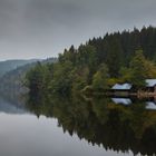 Höllensteinsee Impressionen (49)