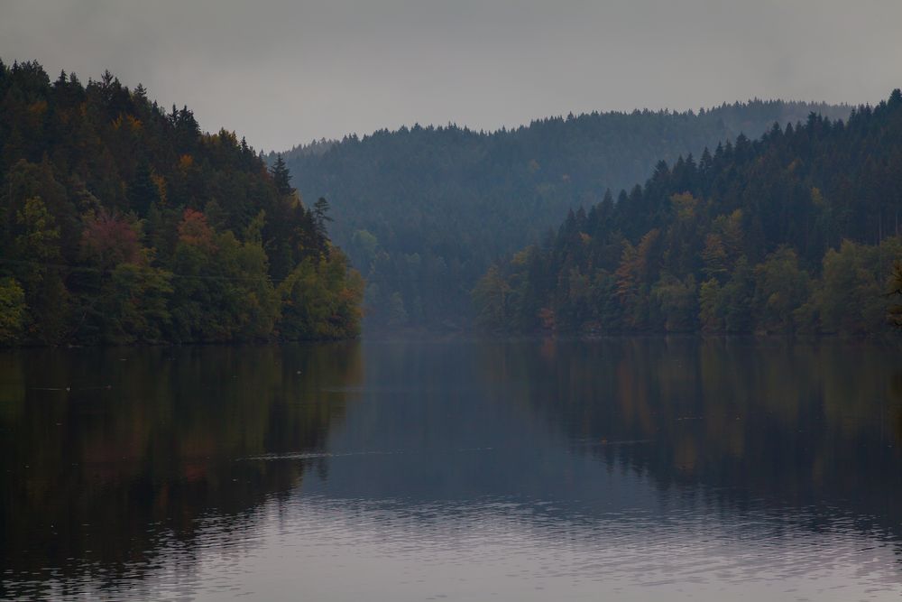 Höllensteinsee Impressionen (51)