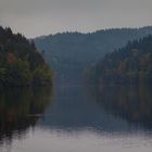 Höllensteinsee Impressionen (51)