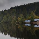 Höllensteinsee Impressionen (52)