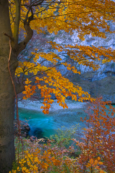 Höllental im Herbst