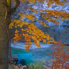 Höllental im Herbst