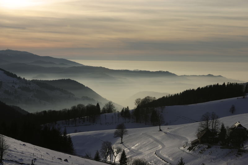 Höllental im Nebel