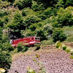 Höllentalbahn III