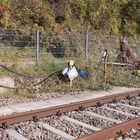 Höllentalbahn - Service