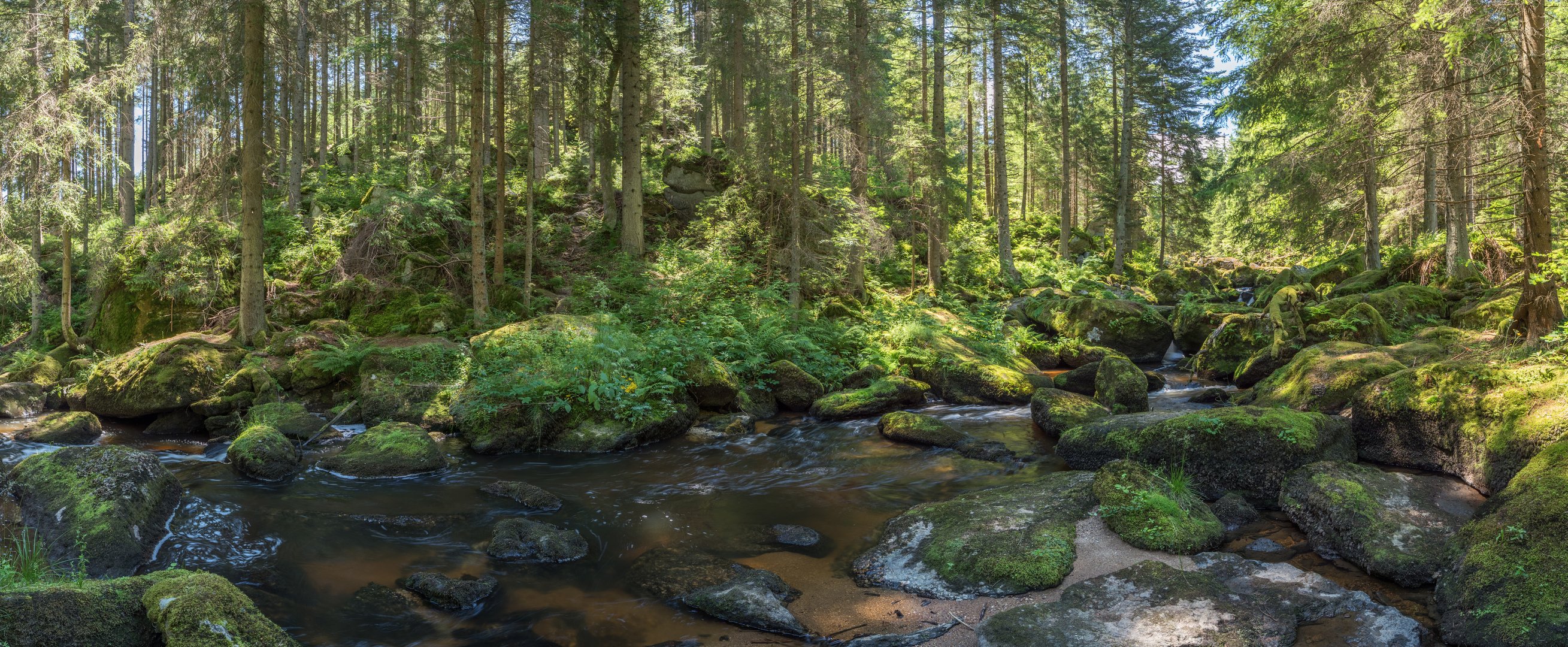 Höllfallpanorama