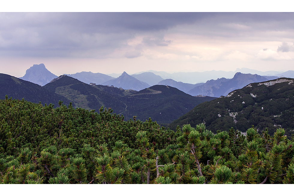 HÖLLKOGL