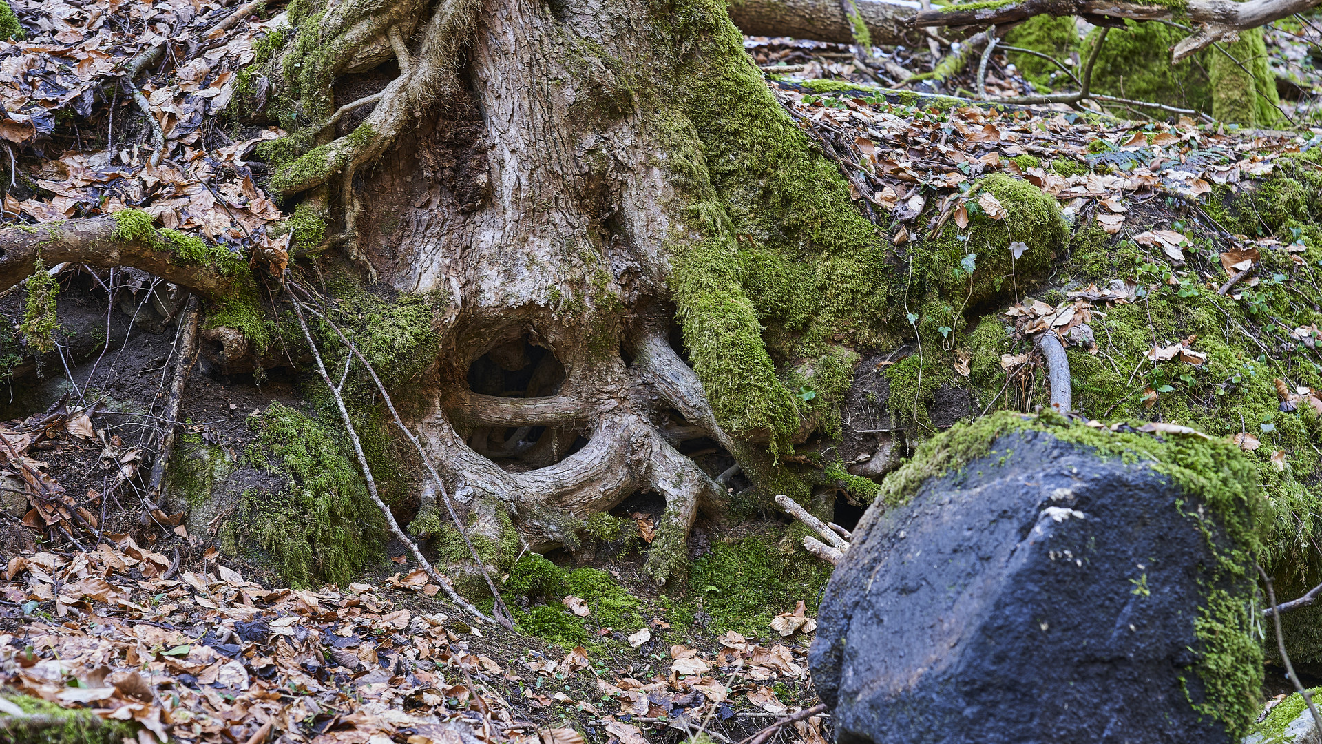 Höllschlucht