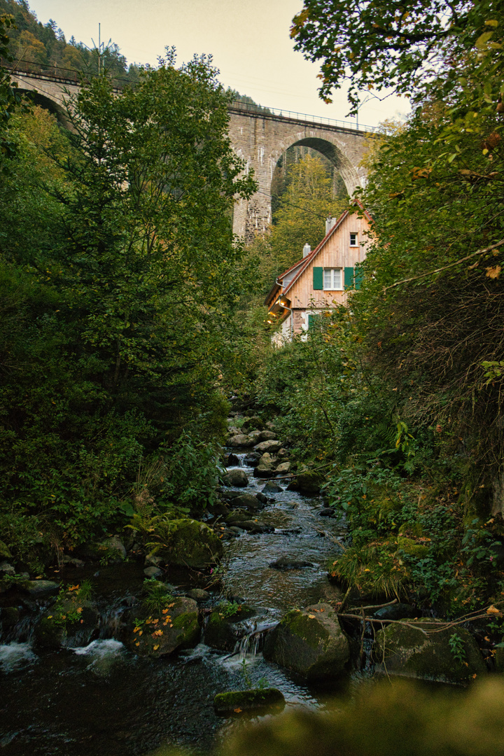 Höllsteig, Schwarzwald