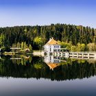 Höllstein