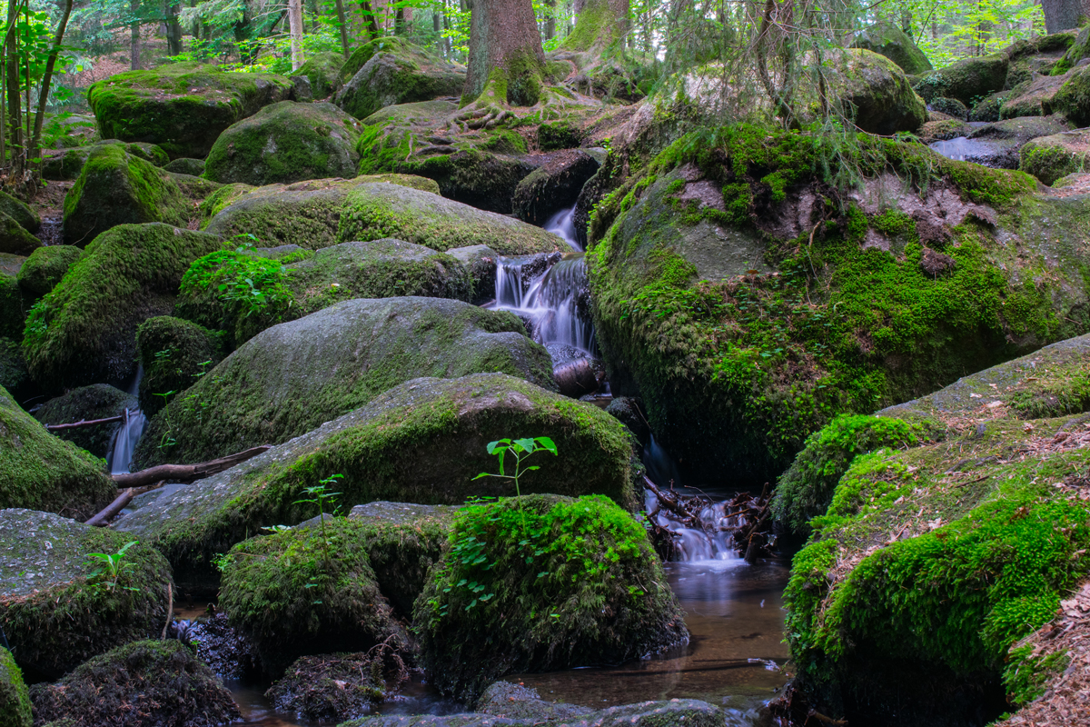 Hölltal im Bayerischen Wald #1