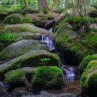 Hölltal im Bayerischen Wald #1