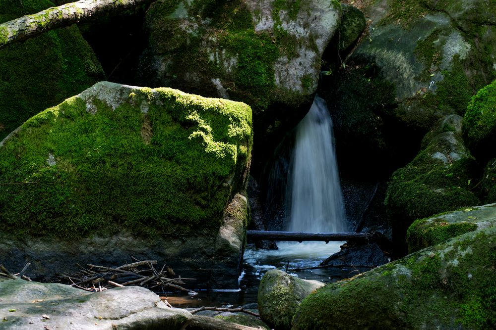 Hölltal im Bayerischen Wald #4