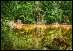 Hölzer See, Spiegelung