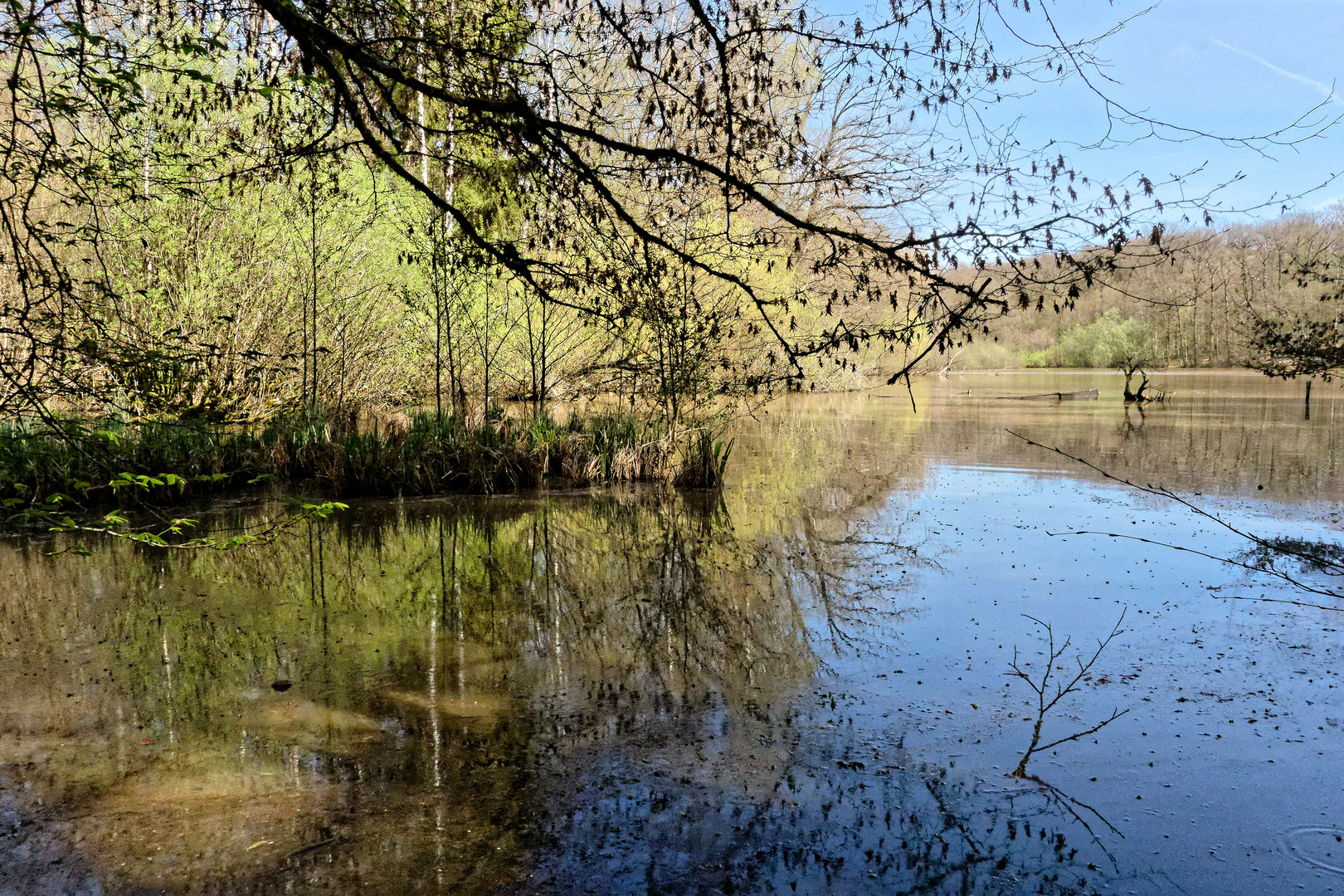 Hölzersee