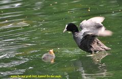 hör auf Deine Mama...