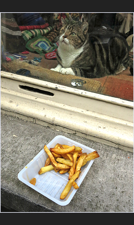 Hör mal, Deine labberigen kalten Pommes interessieren mich nen Dreck