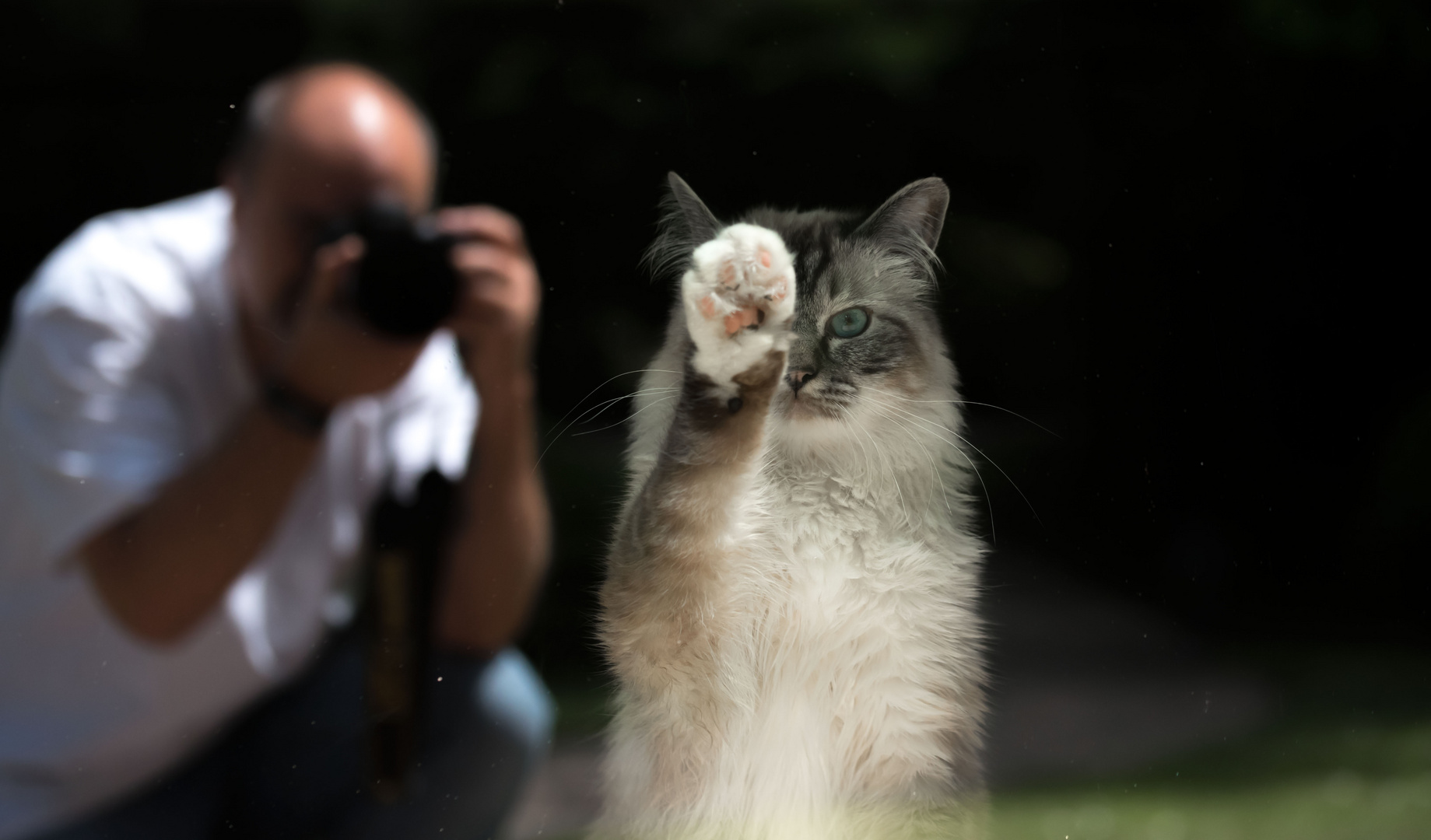 Höre auf zu fotografieren und lass mich raus.