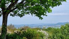 Höri, Blick nach Radolfszell