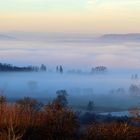 Höri im Nebel