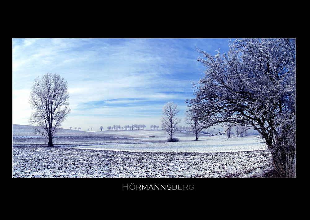 Hörmannsberg im Winter