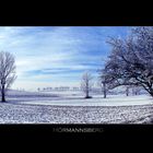 Hörmannsberg im Winter