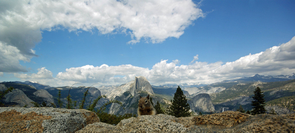 Hörnchen vor´m Half Dome