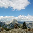 Hörnchen vor´m Half Dome