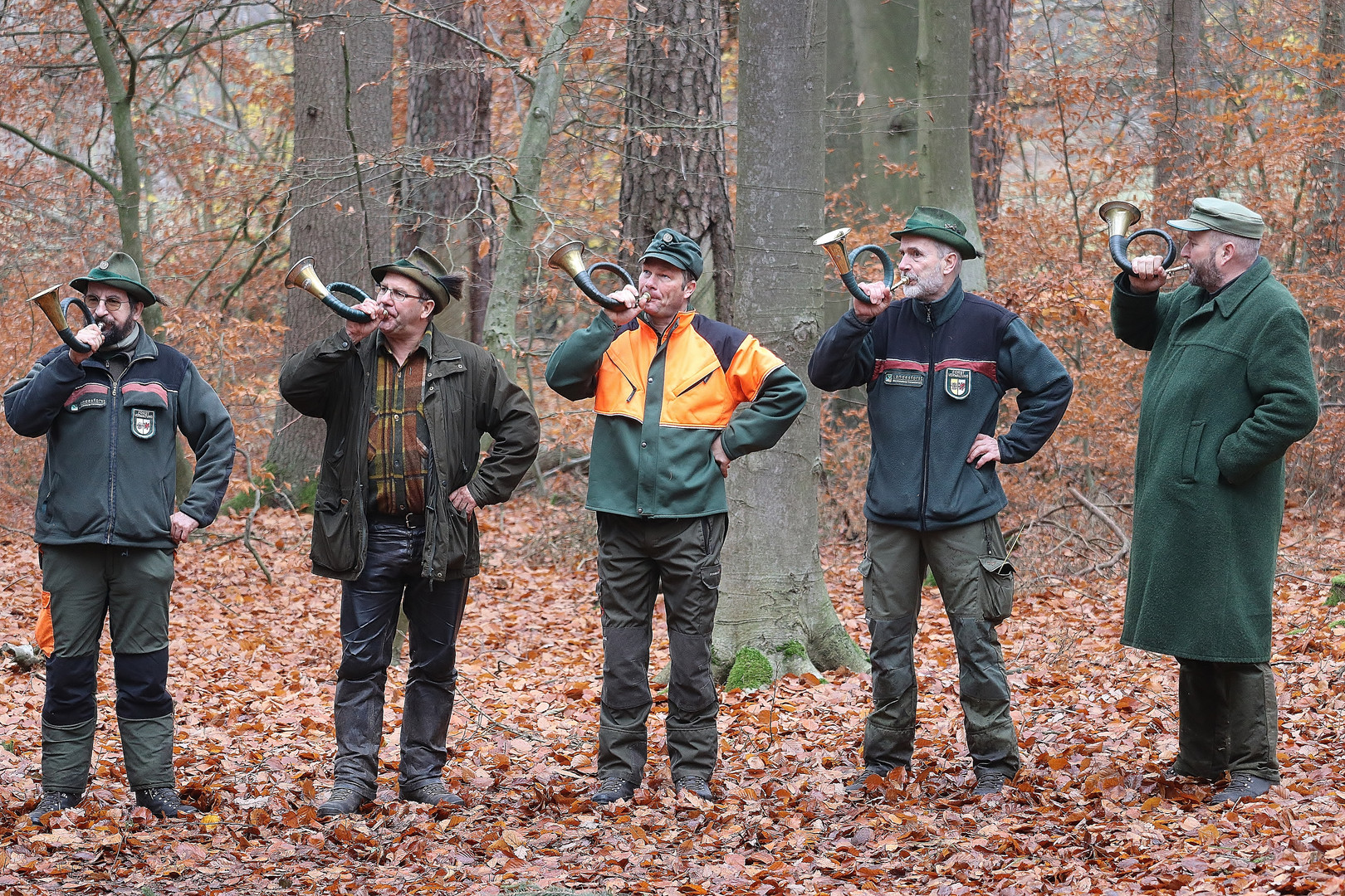 Hörnerklang im Wald...