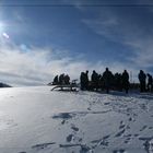 Hörnerrennen - Die Ruhe vor dem Start