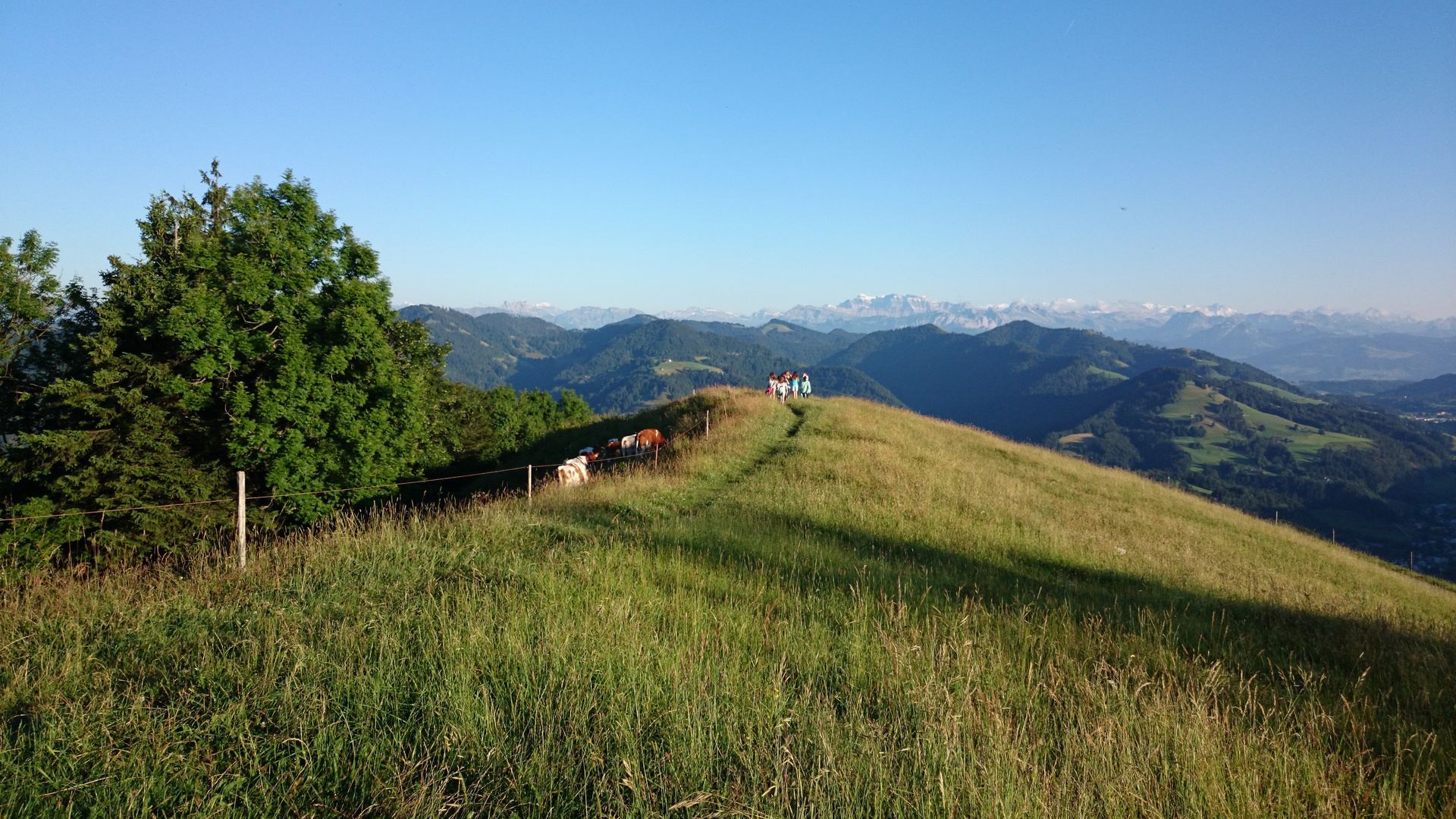 Hörnli am Abend