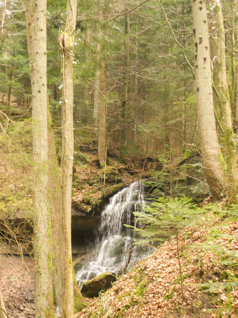 Hoerschbach Schlucht 30.03.2018