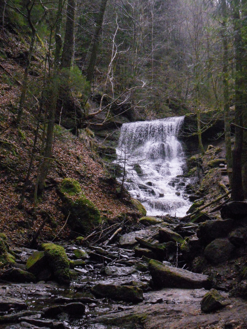 Hoerschbach Schlucht 