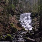 Hoerschbach Schlucht 