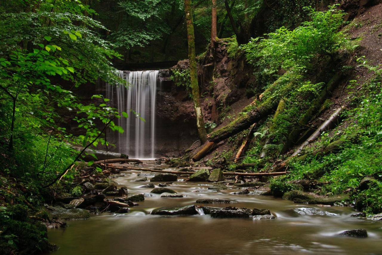 Hörschbacher Wasserfälle