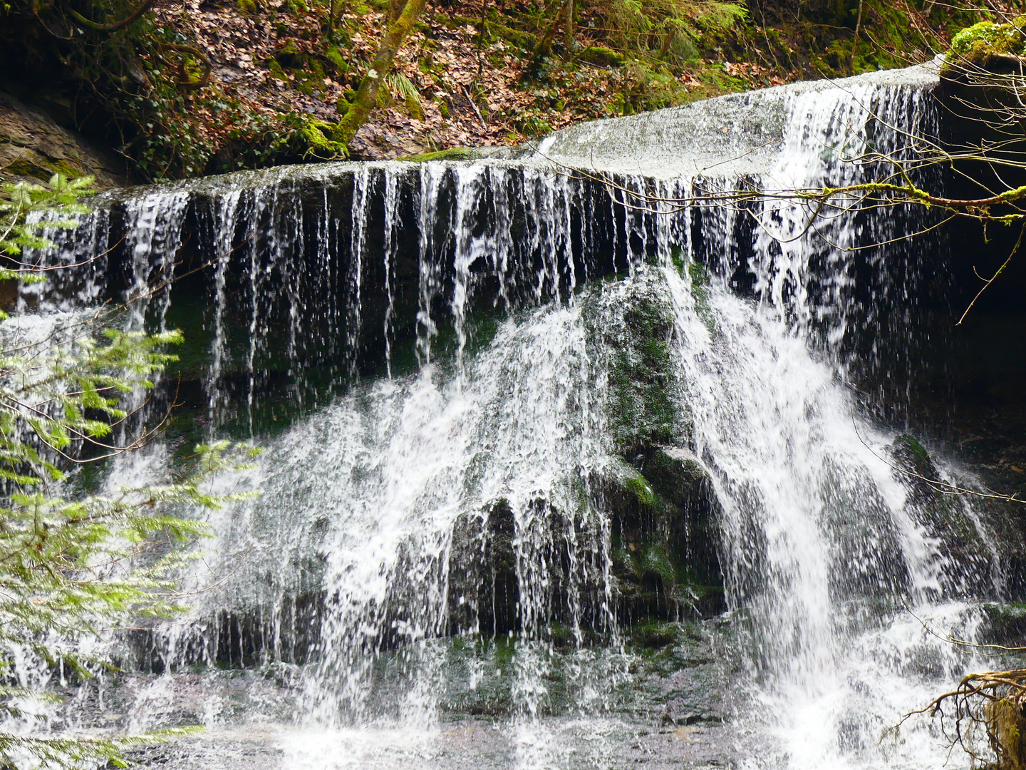 Hörschbachschlucht 30.03.2018