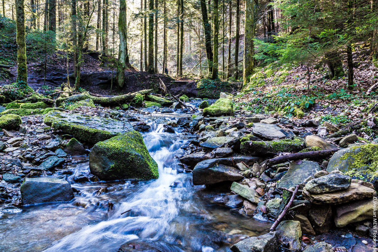 Hörschbachschlucht