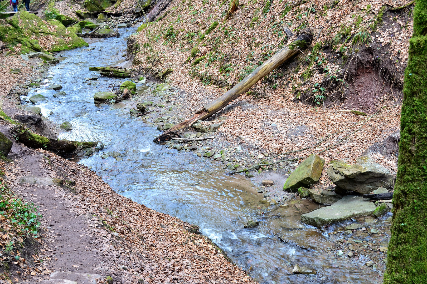 Hörschbachschlucht bei Murrhardt - 30.03.2018